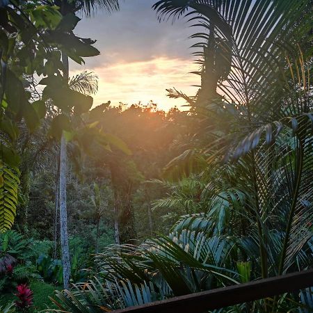 Villa Rimba Ubud Tegallalang  Εξωτερικό φωτογραφία