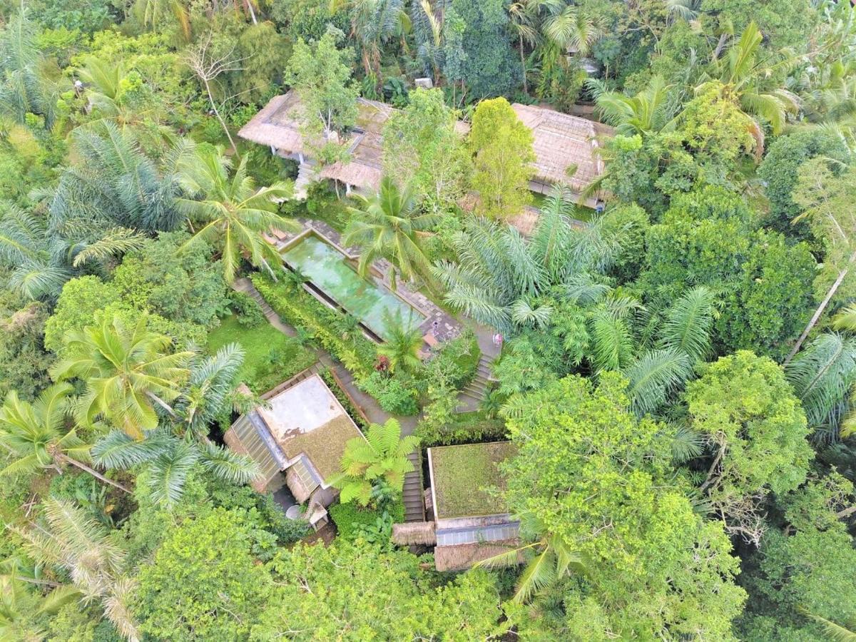 Villa Rimba Ubud Tegallalang  Εξωτερικό φωτογραφία