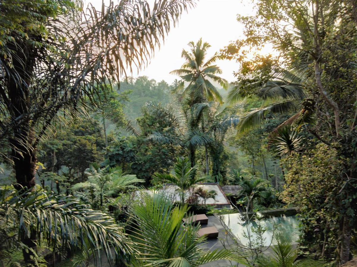 Villa Rimba Ubud Tegallalang  Εξωτερικό φωτογραφία