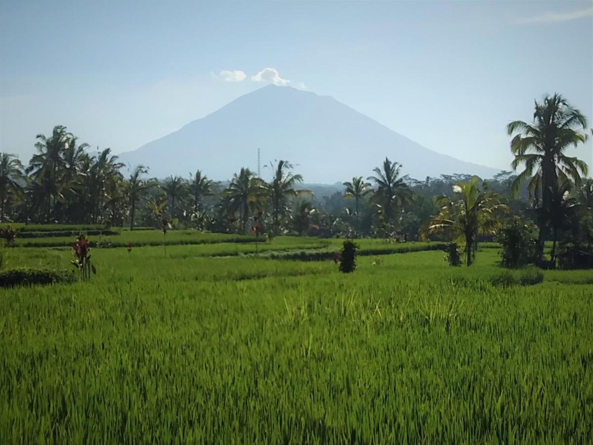 Villa Rimba Ubud Tegallalang  Εξωτερικό φωτογραφία