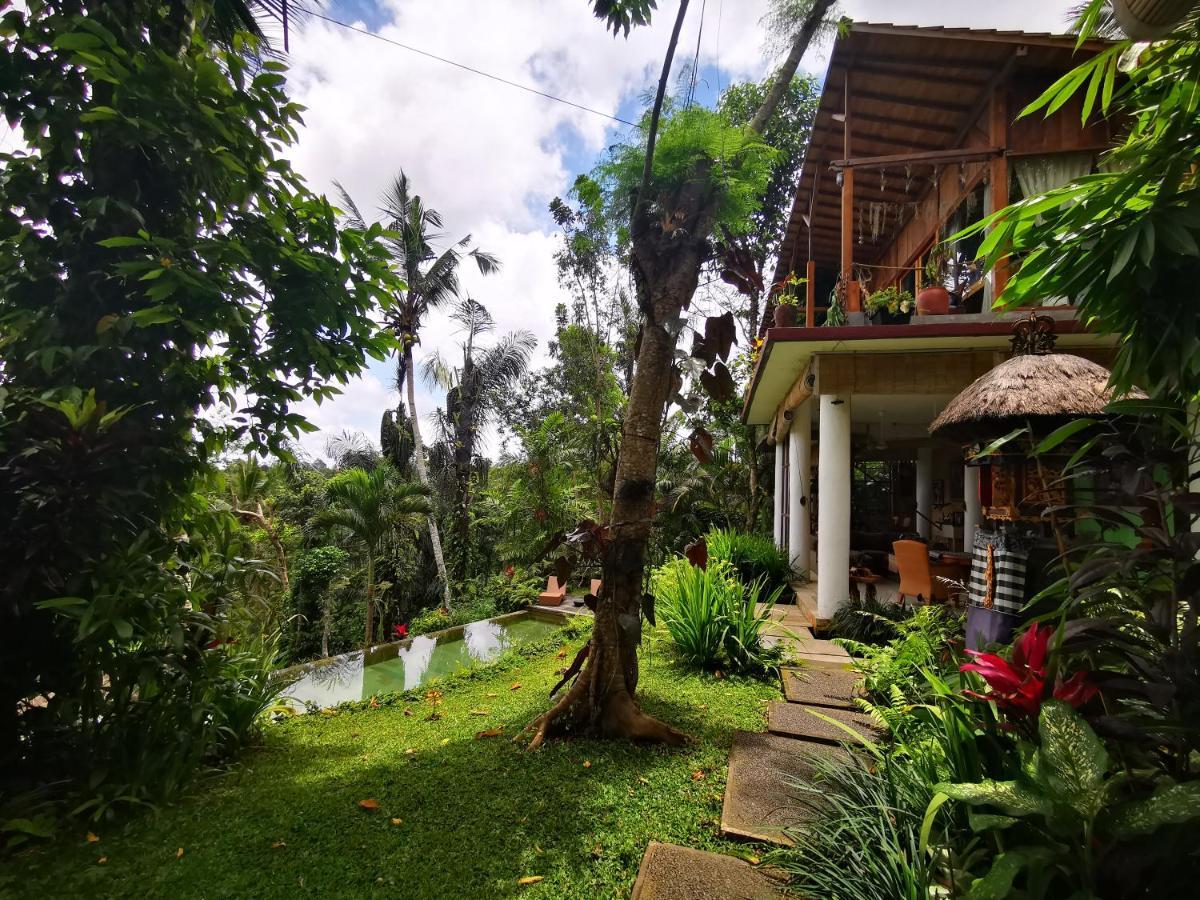 Villa Rimba Ubud Tegallalang  Εξωτερικό φωτογραφία