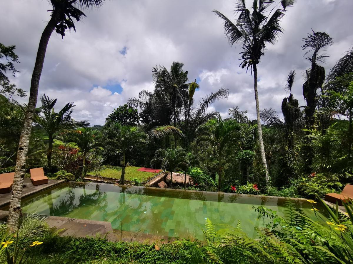 Villa Rimba Ubud Tegallalang  Εξωτερικό φωτογραφία