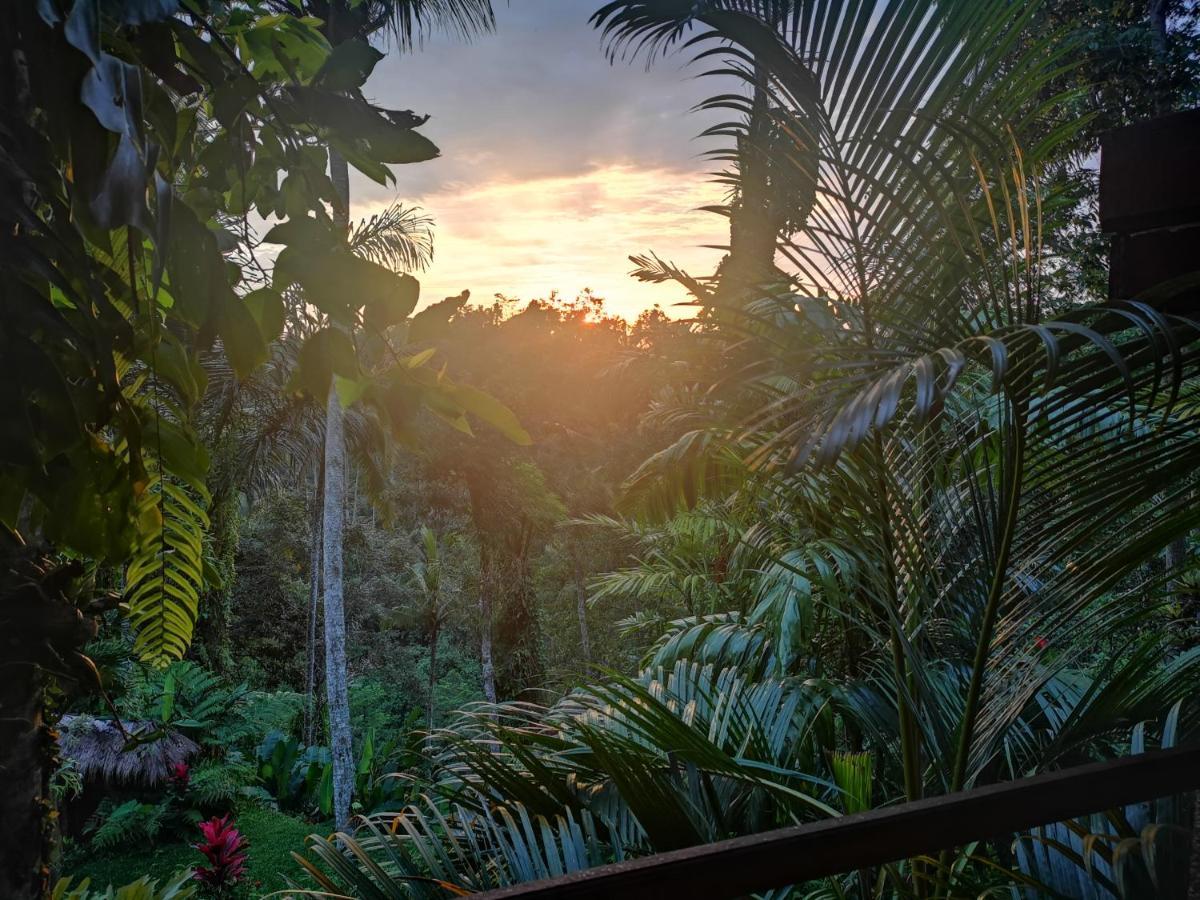Villa Rimba Ubud Tegallalang  Εξωτερικό φωτογραφία