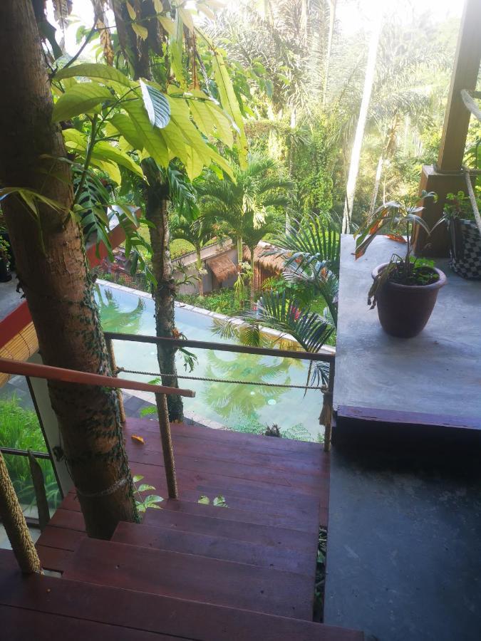 Villa Rimba Ubud Tegallalang  Εξωτερικό φωτογραφία