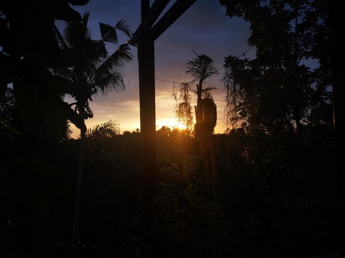 Villa Rimba Ubud Tegallalang  Εξωτερικό φωτογραφία